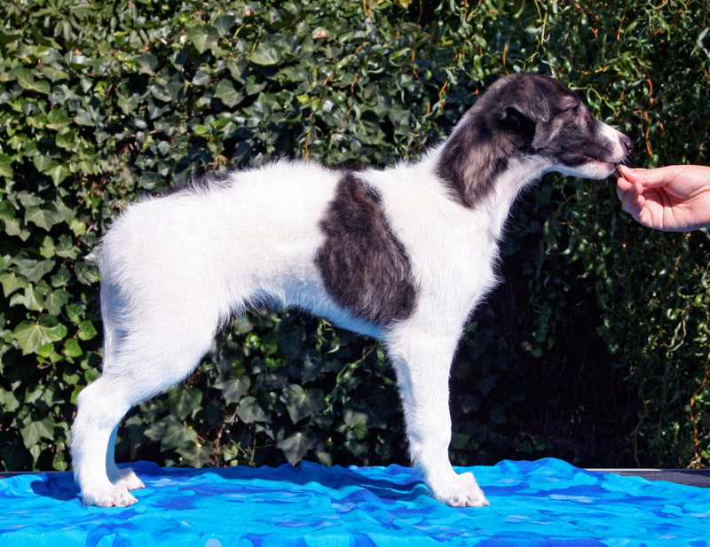 Surf Spots - Boy 2 Right